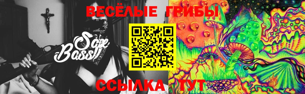 Санкт-Петербург  Галлюциногенные грибы Cubensis  Вход с VPN 