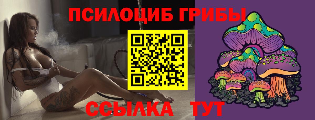 Галлюциногенные грибы мухоморы Санкт-Петербург